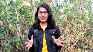 vasa herb || ayurveda ||medicinal plant || bams 2nd year|| @TeenaChaudharyBhu