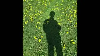 Petal