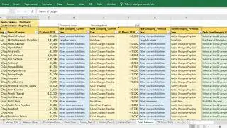 Schedule III Financial Statement Preparation Tool, Company Balance Sheet by Black Horse Excellence