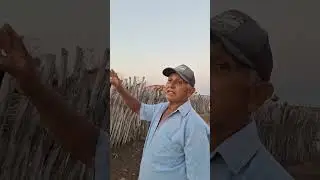 TRADI&Ccedil;&Otilde;ES DO MUNIC&Iacute;PIO DE SENADOR S&Aacute;-CE. 