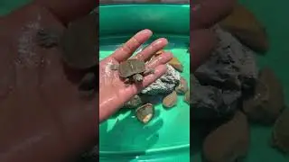 🐢🐢#tinyturtle #turtle basking area ideas #Tiny turtle