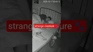 Непонятное существо в спальне #scary #alien #врек #инопланетянин #чупакабра