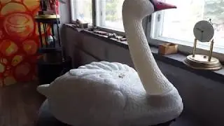 RC swan