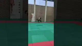 Karl Bell V Thomas McKee - Belfast BJJ League, January, 2025 #grappling #bjj #mma #wrestling #judo