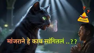 Shocking Real Life Telepathic Animal Communication Session | Black Cat