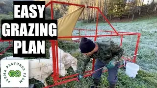High Density Grazing For Small Acreage