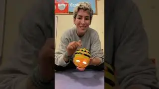 Beebot programmable