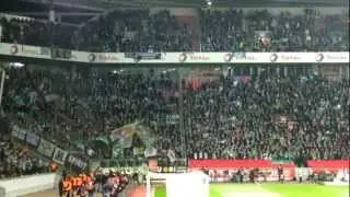 Bayer 04 Leverkusen - SK Rapid Wien (08.11.2012)