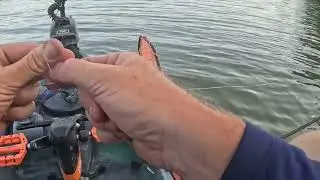 TACKLE TIP TUESDAY! My go to braid knot! 