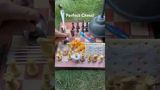 Best Chess Game Ever! #shorts #viral #chess #memes