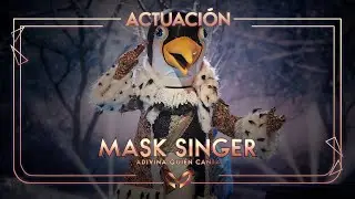 El Pingüino canta 'Hola mi amor’ de Nyno Vargas, Lérica & Junco | Mask Singer: Adivina quién canta