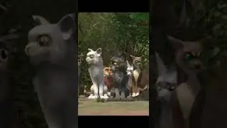 Warrior cats #edit #warriorcats #котывоители #огнезвезд