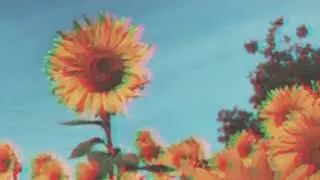 Post Malone, Swae Lee - Sunflower (Mt Eden Remix)