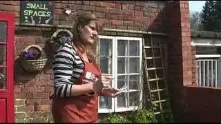 How to Sow Wild Flowers