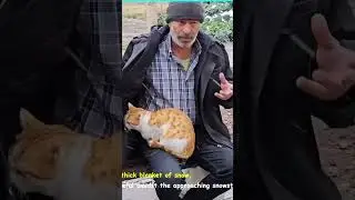 Street cat gets shelter at Santa men #helpstreetcats #helpstreetdogs #cutecat #mercyisallweneed