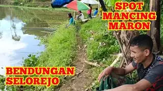 SPOT MANCING MARON//MULYOREJO//NGANTANG