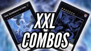 SO spielst du die DRAGON RULER! Drachenherrscher! XXL COMBOS!