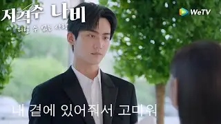 누나가 없었으면 지금의 내가 없었겠지 「저격수 나비:피할 수 없는 사랑」| Sniper Butterfly | 狙击蝴蝶｜ WeTV