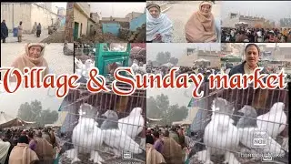 Sunday bazar Pakistan Hazro village Sarwana  Welfare murghy murghee market kabuter Birds Market 