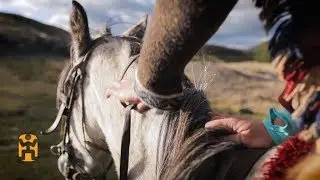 Horseback Riding in Cotopaxi National Park | Ecuador Discoveries | World Nomads