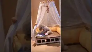 Handmade Cute Dog Bed Teepee