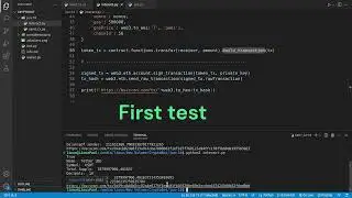 USDT TRANSFER USING WEB3.PY BOT