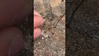 how to repair a thin gold chain