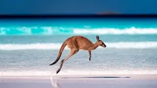 Australia !!