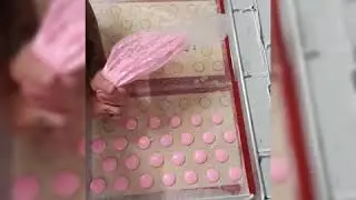 Macaron Piping Satisfying Videos