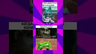 #мемы #mems #youtube #мемы_тикток #мем #youtubeshorts #fyp