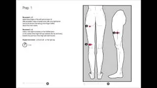 Bowen Therapy Manual - basics by Delbert Skeete