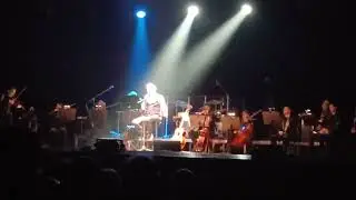 La figlia del tenente - Davide van de Sfroos @ Mantova - 24 gennaio 2026