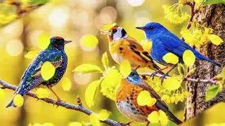 &ldquo;Birds Sing the Morning 🌸 Uplifting Spring Nature Music | Feel-Good Viral Audio&rdquo;