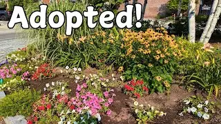 I Adopted a Garden | Roundabout Adopt a Spot || Budget Gardening