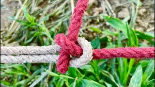 Genius Knot Hacks in 2026!!!