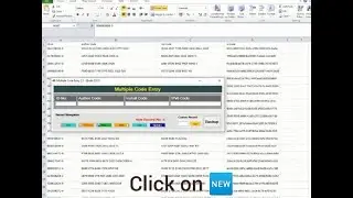 Multiple Code Entry of Data Entry Project