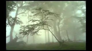 Giovanni Valentini - Sonata &agrave; 5. Forgotten early baroque music