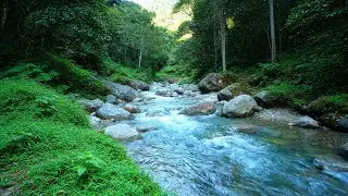 Gentle Relax &ndash; Beautiful Enchanted Water River Sound in Mountain Stream &ndash; Calm Thoughts