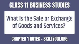 What Is the Sale or Exchange of Goods and Services? | Class 11 Chapter 1 | CBSE Business Studies