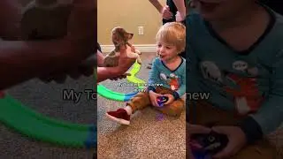 My Toddler meets a new puppy 🥹#toddlerlife #toddlermom #wholesome #toddlerandpuppy #newpuppy