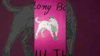 Std 3 Billu the dog  picture story book