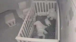 HASIL REKAMAN BAYI YANG DI TINGGA IBU NYA BERLIBUR 10 hari