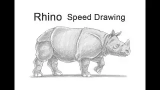 Rhinoceros (Indian) Time-lapse / Speed Drawing