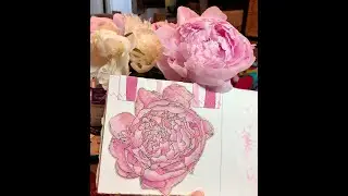 May-Sept 2021 art journal by Jane LaFazio