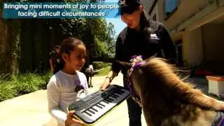 FB MINI HORSES