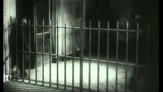 Девушка с коробкой [часть 1/5]