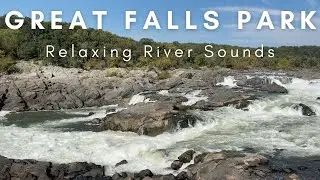 Mother Nature | Great Falls Park | Relaxing River Sounds | Maryland | 1 HOUR LOOP