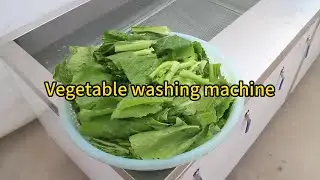 FRUIT & VEGETABLE BUBBLE TYPE CONVEYOR WASHER