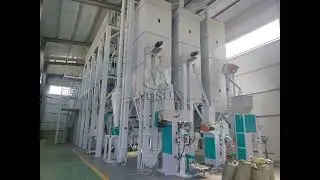 100 Tons per Day Maize Flour Processing Plant | Voson Grain Engineering Machinery