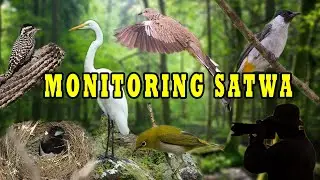 MONITORING SATWA MELIHAT LEBIH DEKAT DENGAN SATWA EPS1